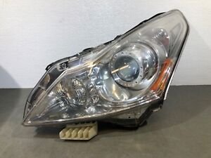 G37 headlights - Infiniti Parts Sales